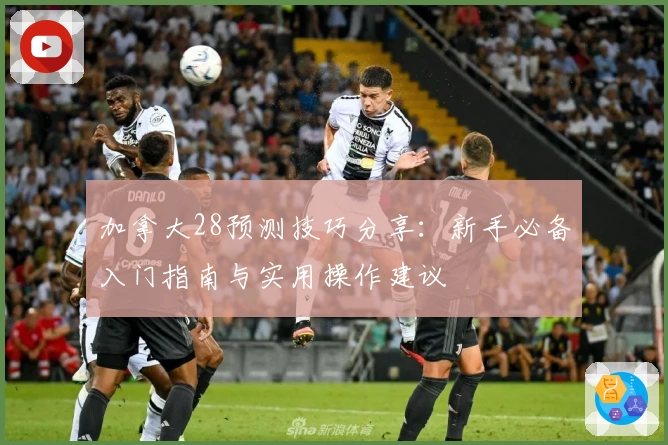 加拿大28预测技巧分享：新手必备入门指南与实用操作建议
