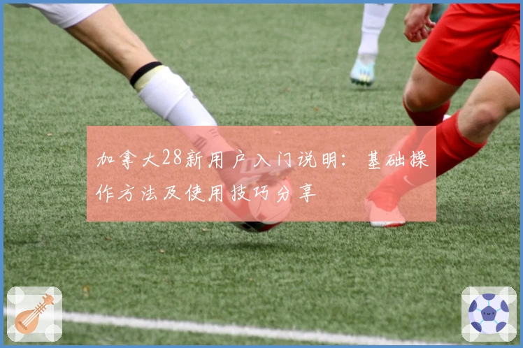 加拿大28新用户入门说明：基础操作方法及使用技巧分享