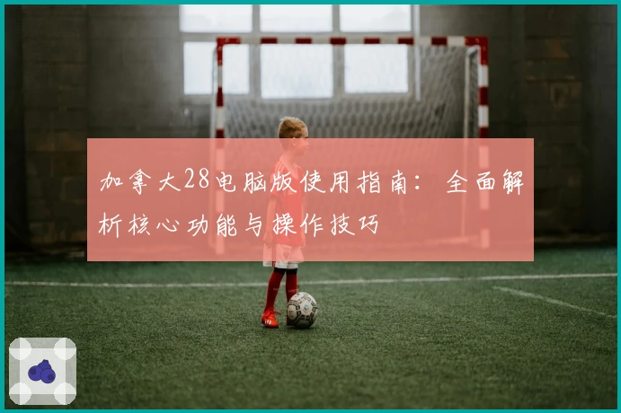 加拿大28电脑版使用指南：全面解析核心功能与操作技巧