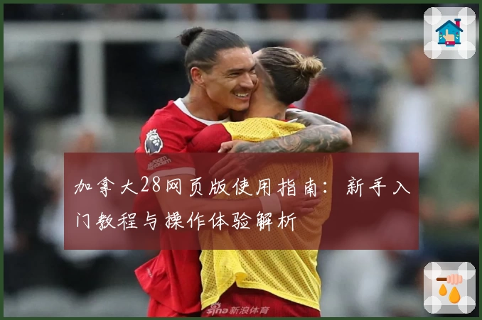 加拿大28网页版使用指南：新手入门教程与操作体验解析