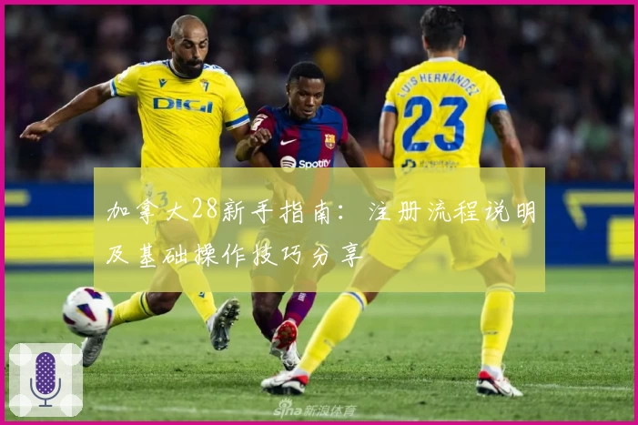 加拿大28新手指南：注册流程说明及基础操作技巧分享