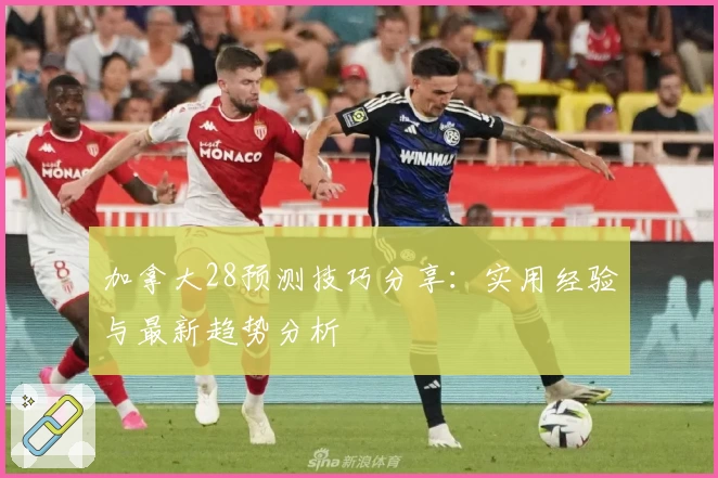 加拿大28预测技巧分享：实用经验与最新趋势分析