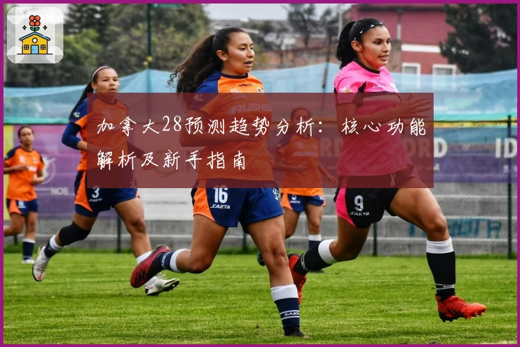 加拿大28预测趋势分析：核心功能解析及新手指南