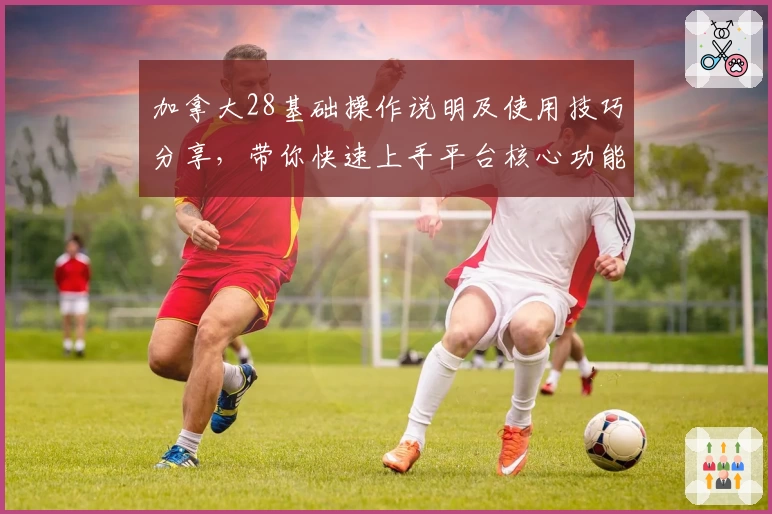 加拿大28基础操作说明及使用技巧分享,带你快速上手平台核心功能