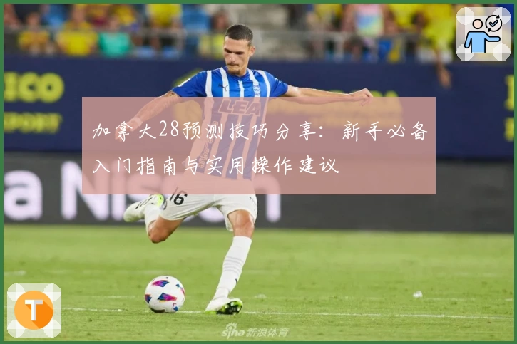 加拿大28预测技巧分享：新手必备入门指南与实用操作建议