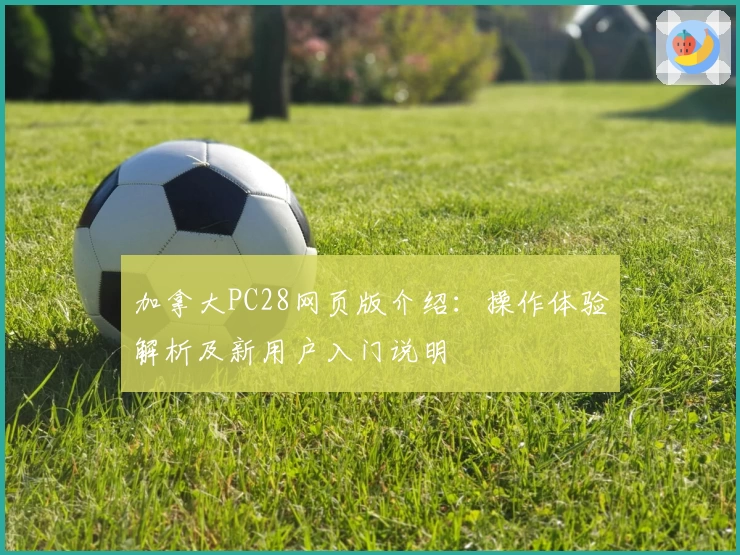 加拿大PC28网页版介绍:操作体验解析及新用户入门说明