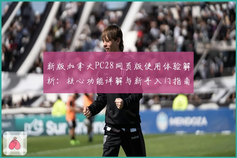 新版加拿大PC28网页版使用体验解析:核心功能详解与新手入门指南