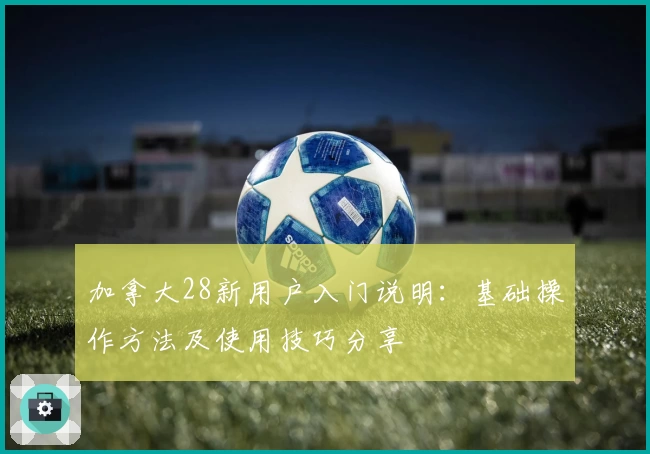 加拿大28新用户入门说明：基础操作方法及使用技巧分享