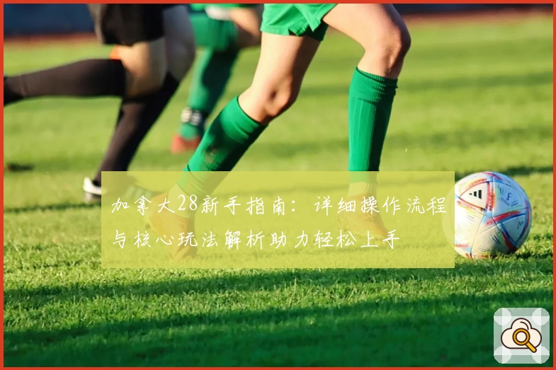 加拿大28新手指南：详细操作流程与核心玩法解析助力轻松上手