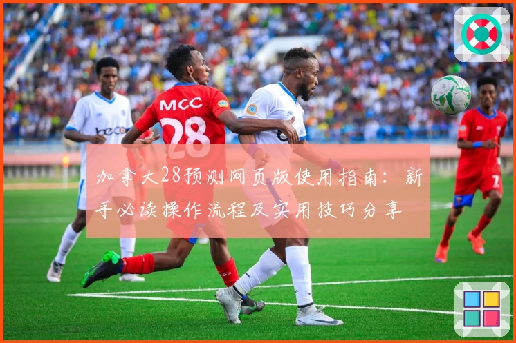 加拿大28预测网页版使用指南：新手必读操作流程及实用技巧分享