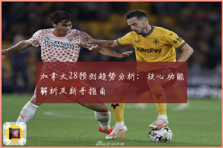 加拿大28预测趋势分析：核心功能解析及新手指南