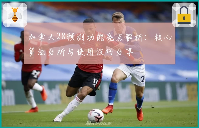加拿大28预测功能亮点解析：核心算法分析与使用技巧分享