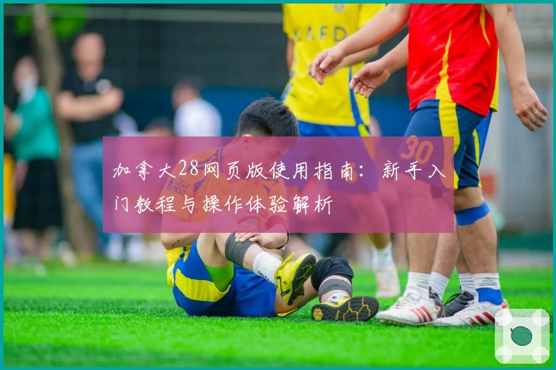 加拿大28网页版使用指南：新手入门教程与操作体验解析