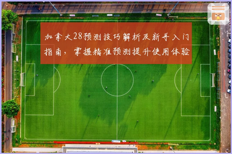 加拿大28预测技巧解析及新手入门指南，掌握精准预测提升使用体验