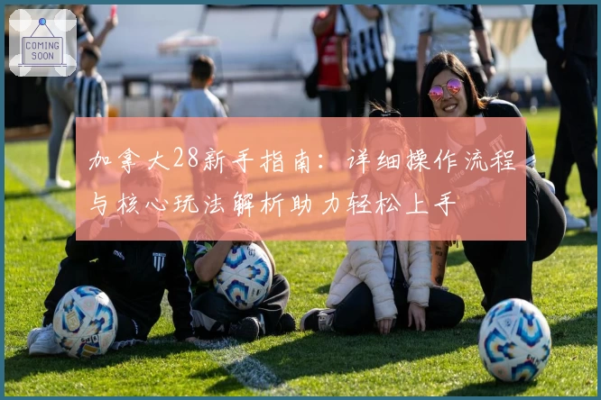 加拿大28新手指南:详细操作流程与核心玩法解析助力轻松上手